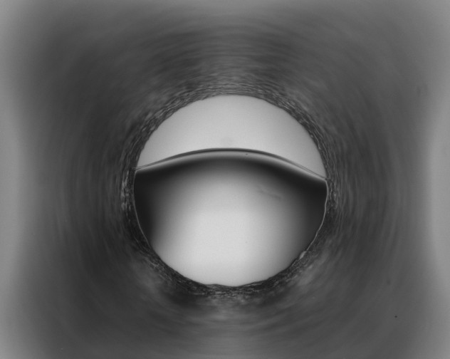 X0000088480818200705220959