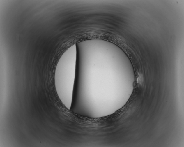 X0000088480819200705220959
