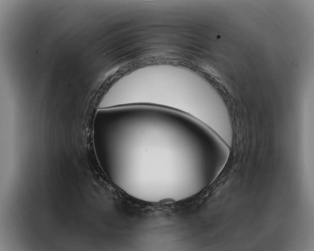 X0000088480822200705220959