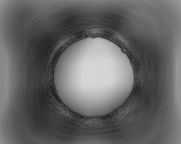 X0000088480823200705220959