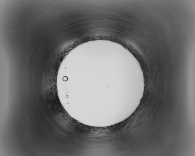 X0000088480824200705220959