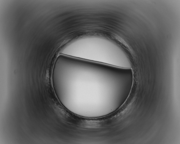 X0000088480825200705220959