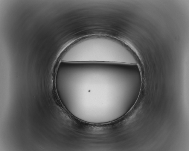 X0000088480829200705220959