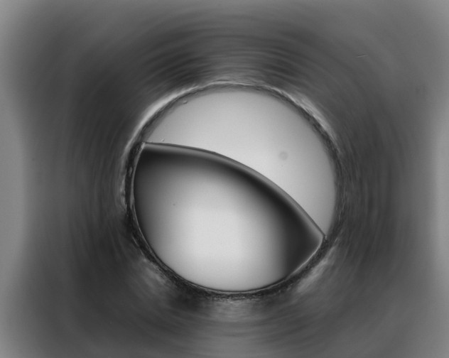 X0000088480830200705220959