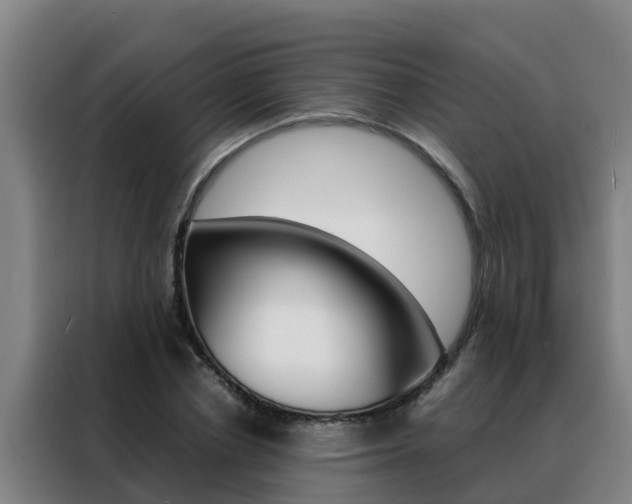 X0000088480834200705220959
