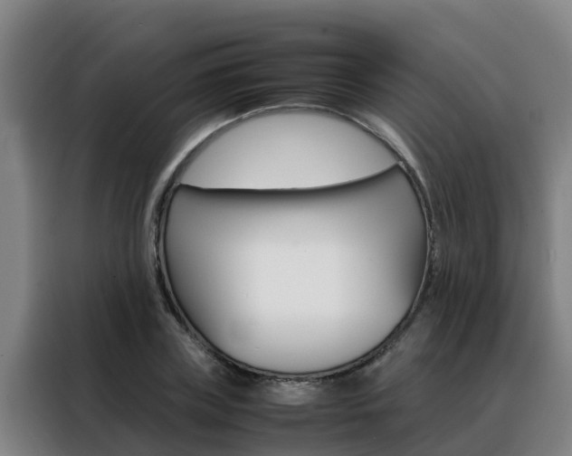X0000088480835200705220959
