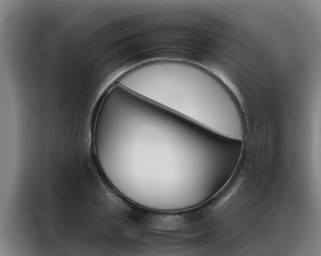 X0000088480837200705220959