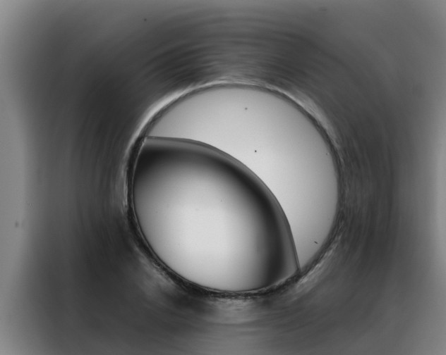 X0000088480838200705220959