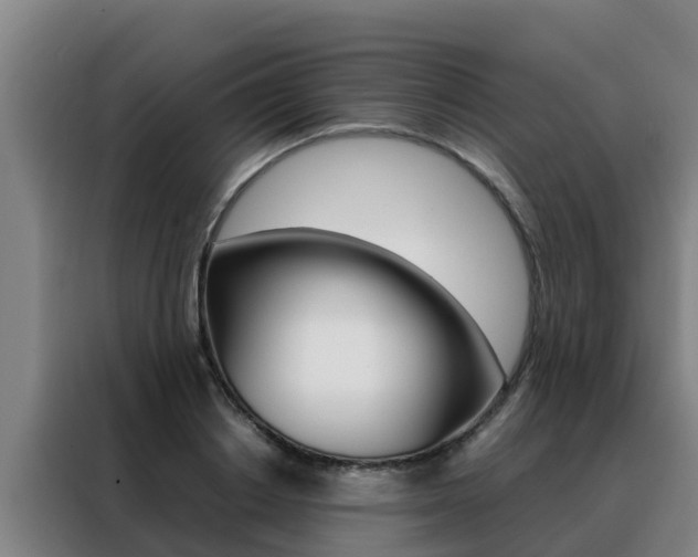 X0000088480842200705220959