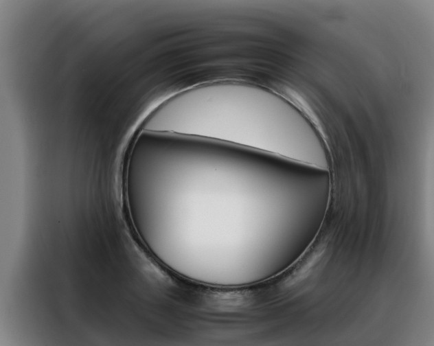 X0000088480843200705220959