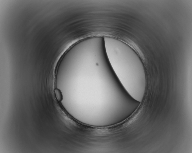 X0000088480844200705220959