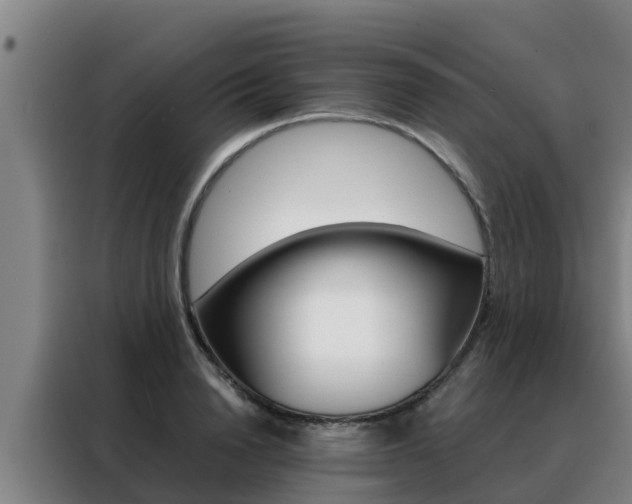 X0000088480846200705220959