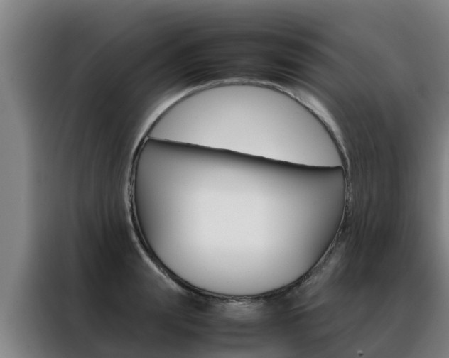 X0000088480847200705220959