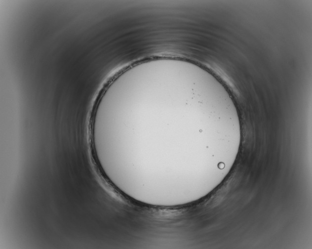 X0000088480848200705220959