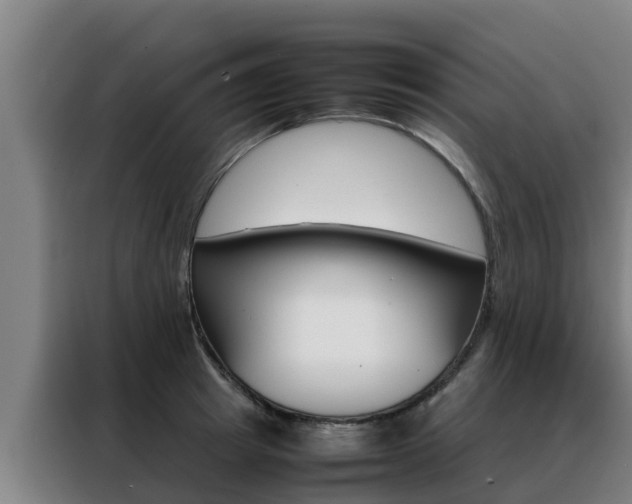 X0000088480849200705220959