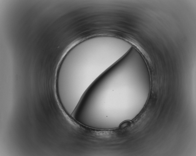 X0000088480853200705220959