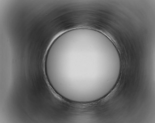 X0000088480854200705220959