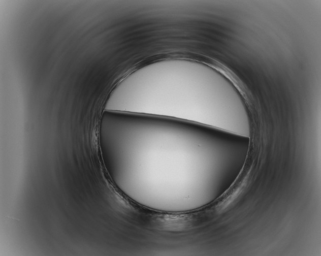 X0000088480857200705220959