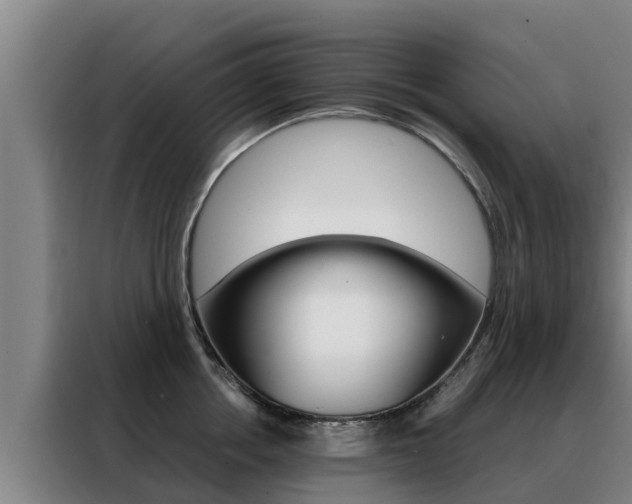 X0000088480858200705220959