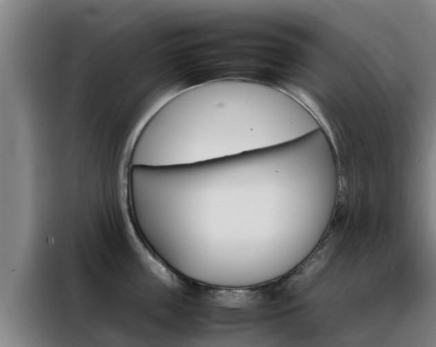 X0000088480859200705220959