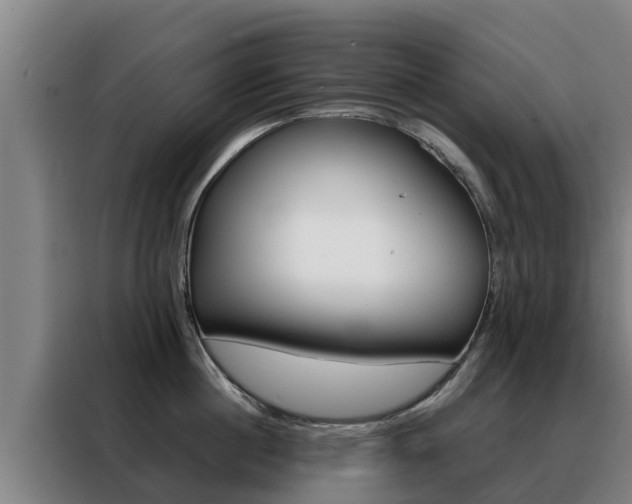 X0000088480860200705220959