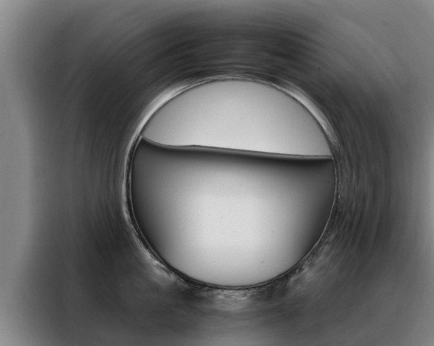 X0000088480861200705220959