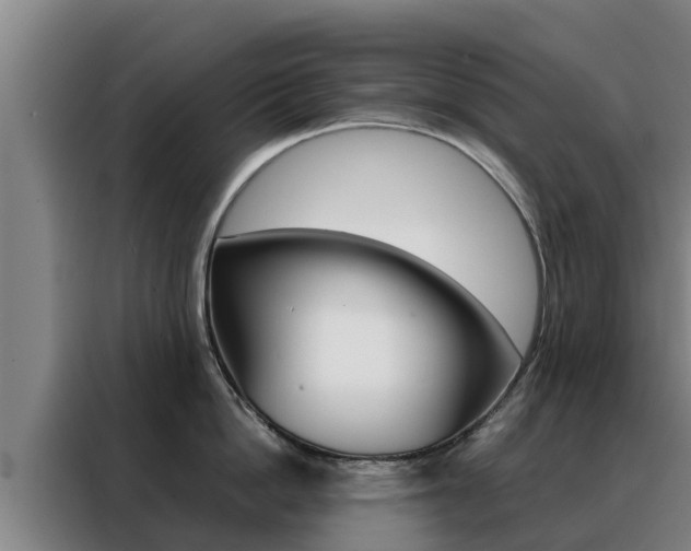 X0000088480862200705220959