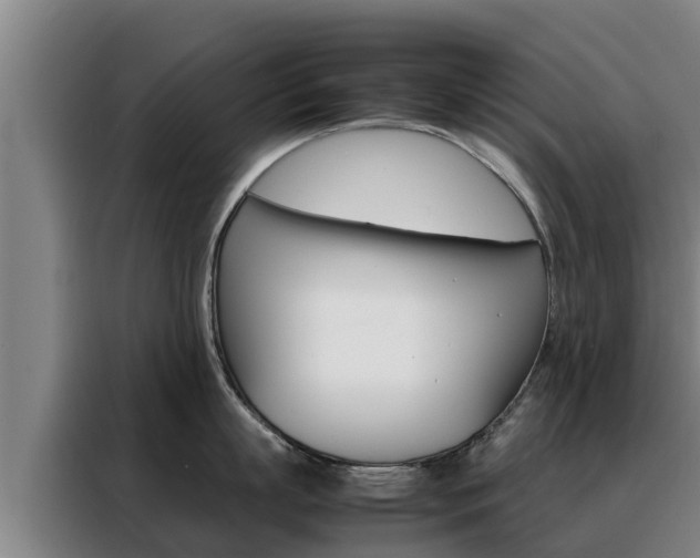 X0000088480863200705220959