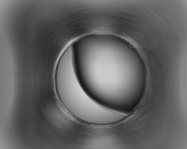 X0000088480864200705220959