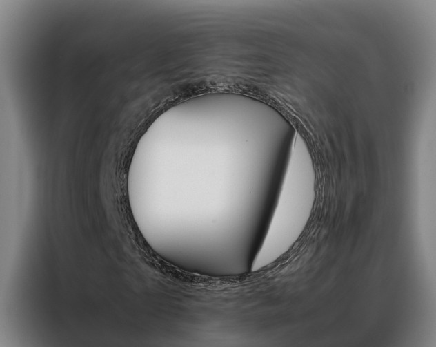 X0000088480865200705220959