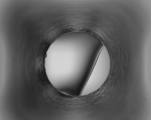 X0000088480867200705220959