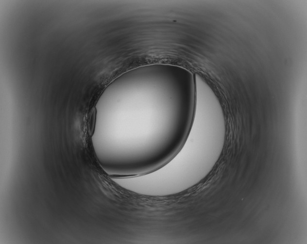 X0000088480868200705220959
