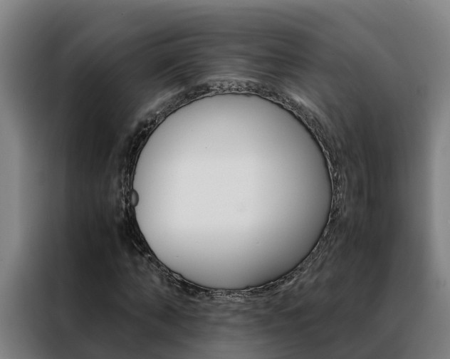 X0000088480870200705220959