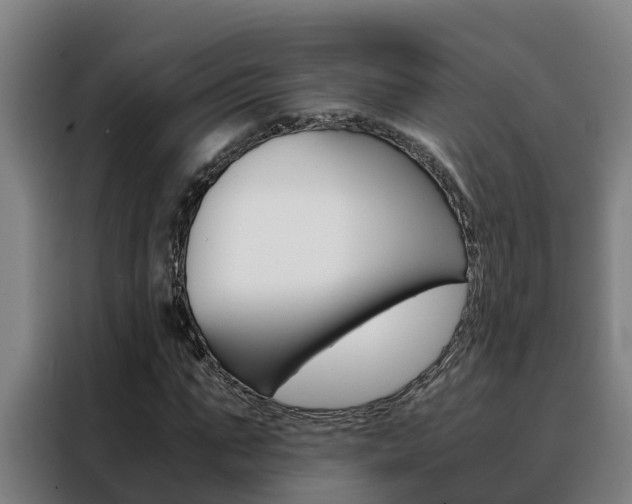 X0000088480871200705220959