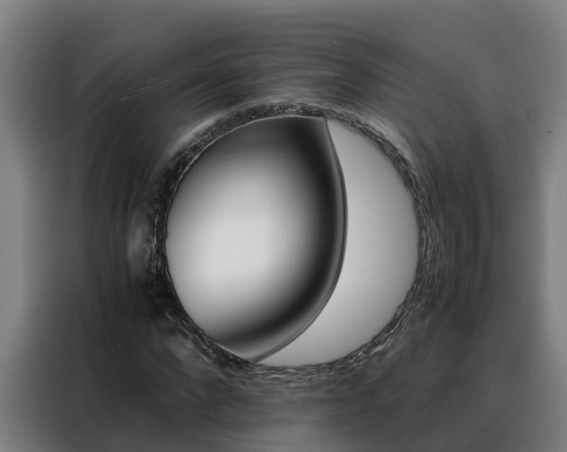 X0000088480872200705220958