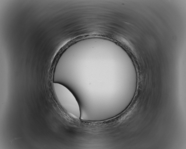 X0000088480875200705220958