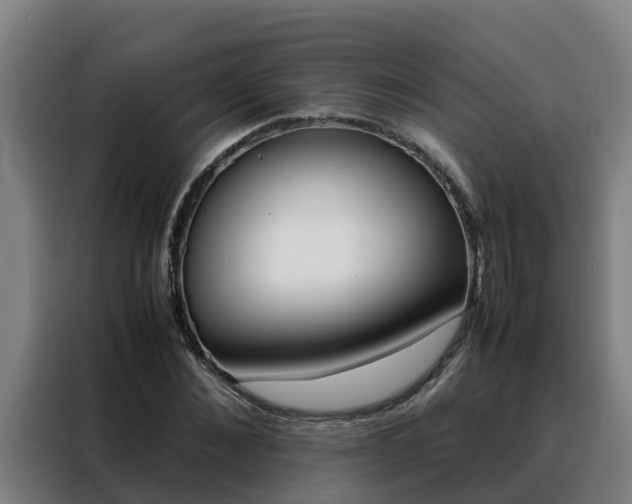 X0000088480876200705220958