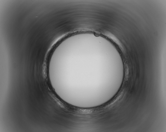 X0000088480878200705220958