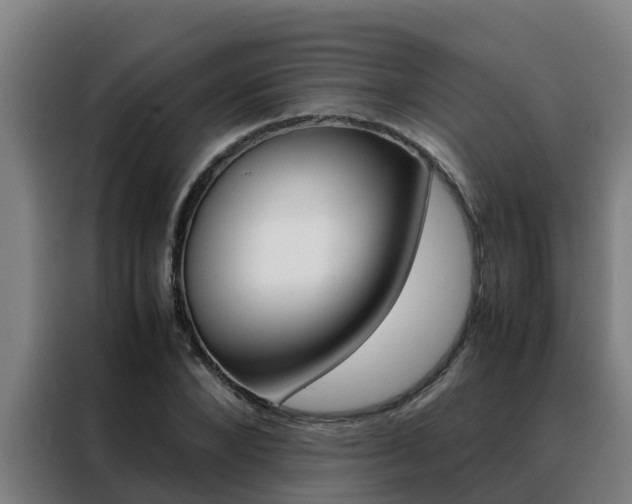 X0000088480880200705220958