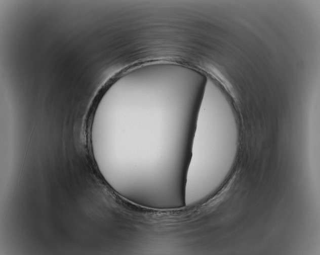 X0000088480883200705220958