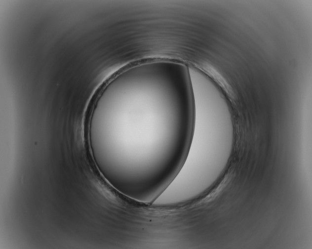 X0000088480884200705220958