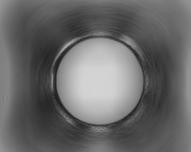 X0000088480886200705220958