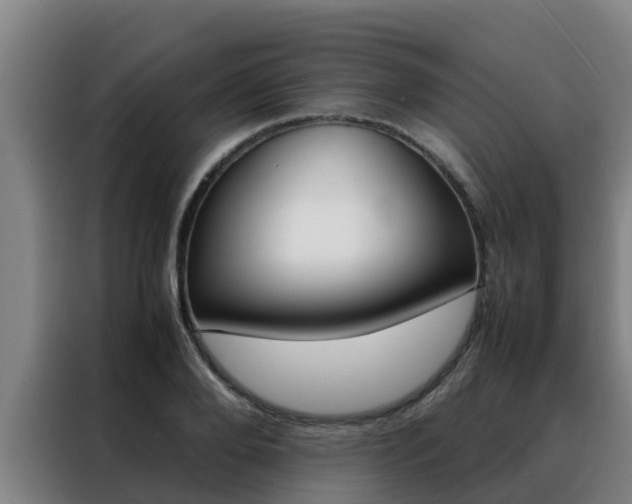 X0000088480888200705220958