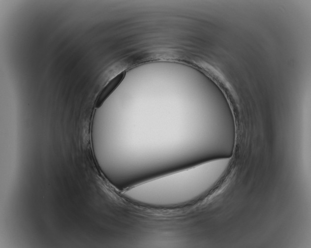 X0000088480889200705220958