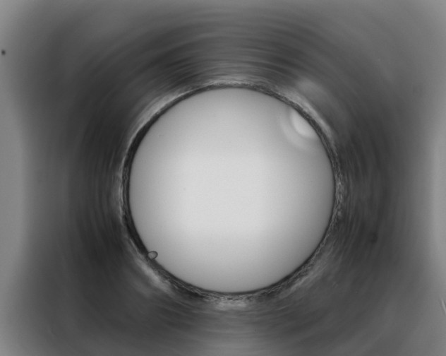 X0000088480890200705220958