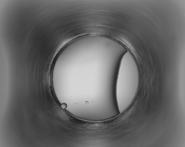 X0000088480891200705220958