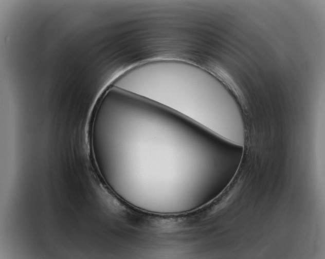 X0000088480892200705220958