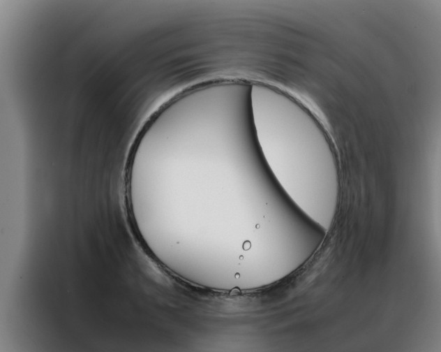 X0000088480895200705220958