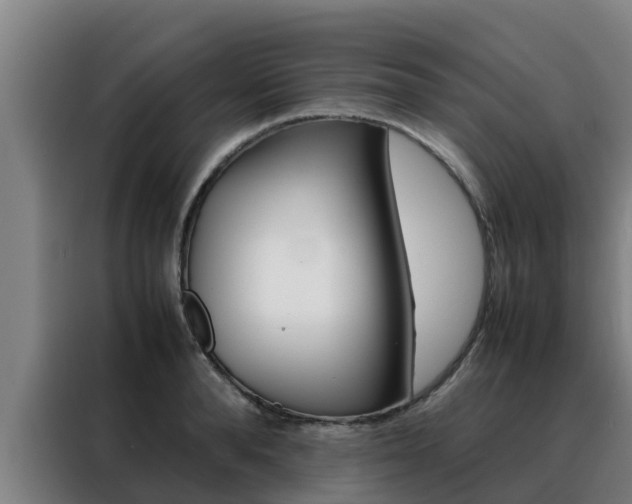 X0000088480896200705220958