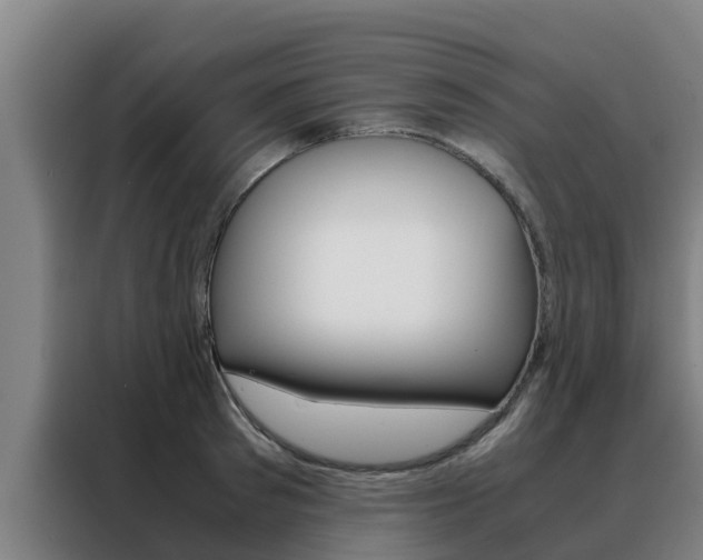 X0000088480897200705220958